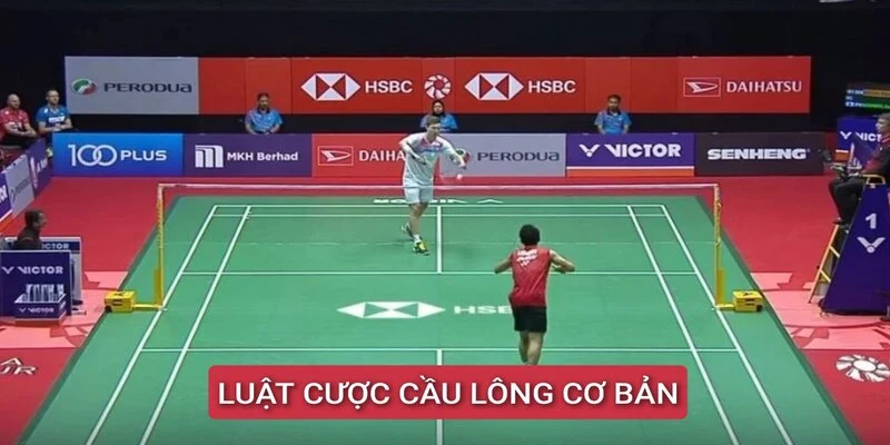 luat-cuoc-cau-long-co-ban